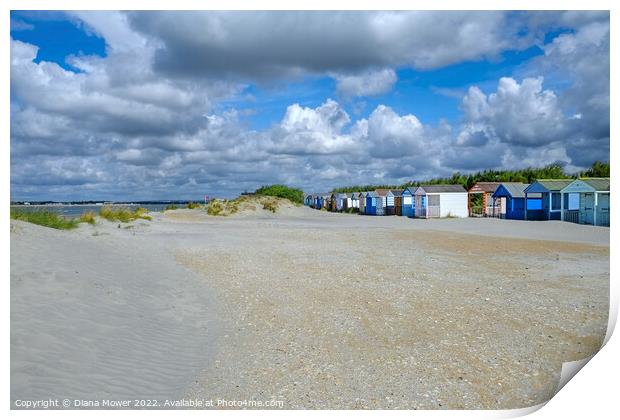 West Wittering beach  Print by Diana Mower