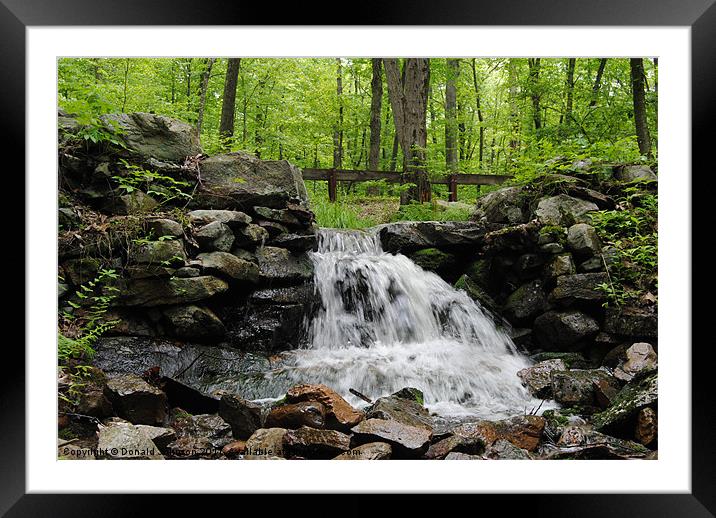 Viewing the beauty of Nature Framed Mounted Print by Donald Johnson