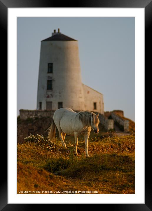 Goleudy Twr Mawr lighthouse and wild horse Framed Mounted Print by Paul Madden