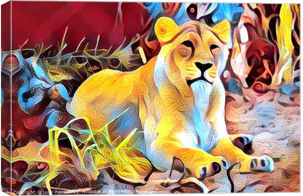 Lioness at Chester zoo,  United Kingdom Canvas Print by Luigi Petro