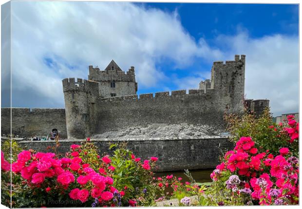 Outdoor cahir castle Tipperary Ireland  Canvas Print by aileen stoddart