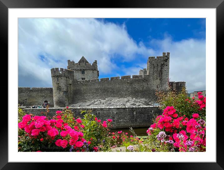 Outdoor cahir castle Tipperary Ireland  Framed Mounted Print by aileen stoddart