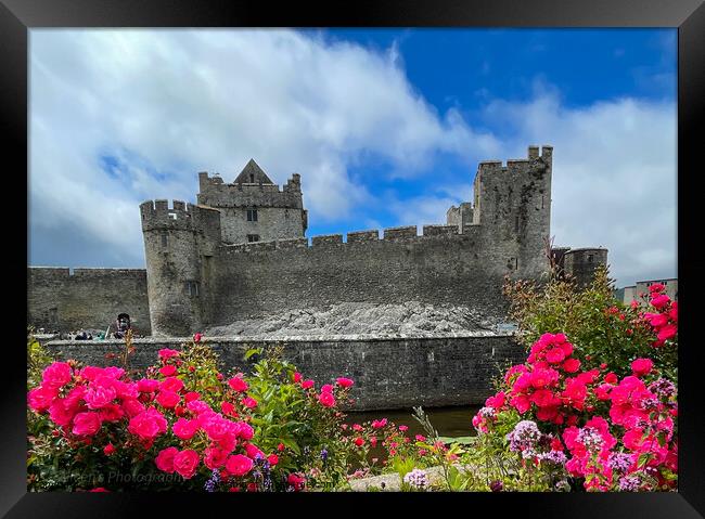 Outdoor cahir castle Tipperary Ireland  Framed Print by aileen stoddart