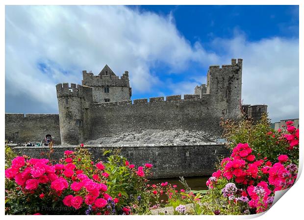 Outdoor cahir castle Tipperary Ireland  Print by aileen stoddart