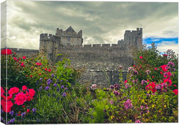Cahir Castle Tipperary   Canvas Print by aileen stoddart