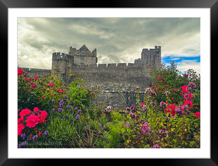 Cahir Castle Tipperary   Framed Mounted Print by aileen stoddart