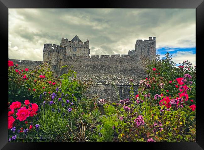 Cahir Castle Tipperary   Framed Print by aileen stoddart