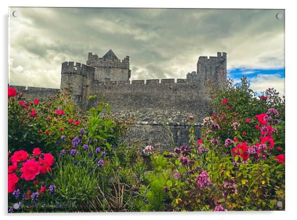 Cahir Castle Tipperary   Acrylic by aileen stoddart