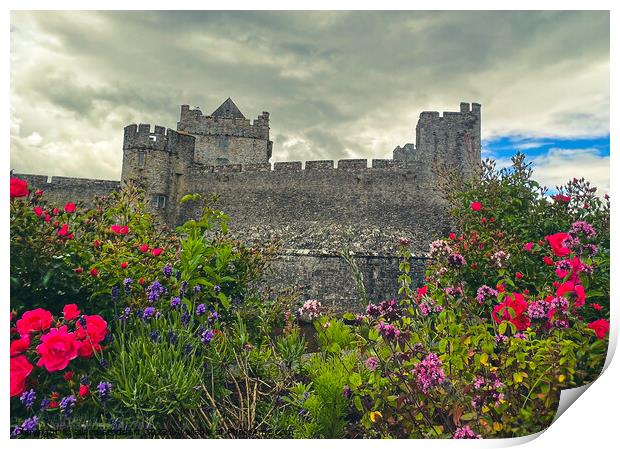 Cahir Castle Tipperary   Print by aileen stoddart