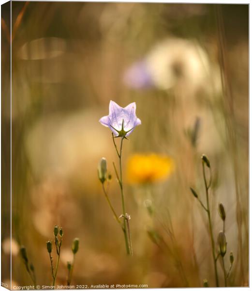 meadow flower Canvas Print by Simon Johnson