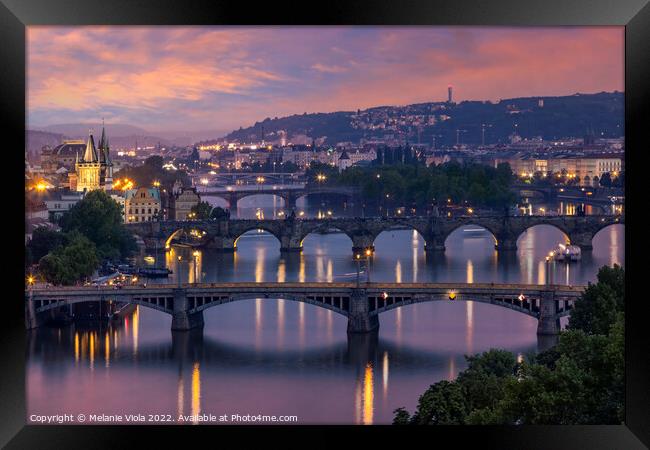 Evening view over the Vltava bridges in Prague Framed Print by Melanie Viola