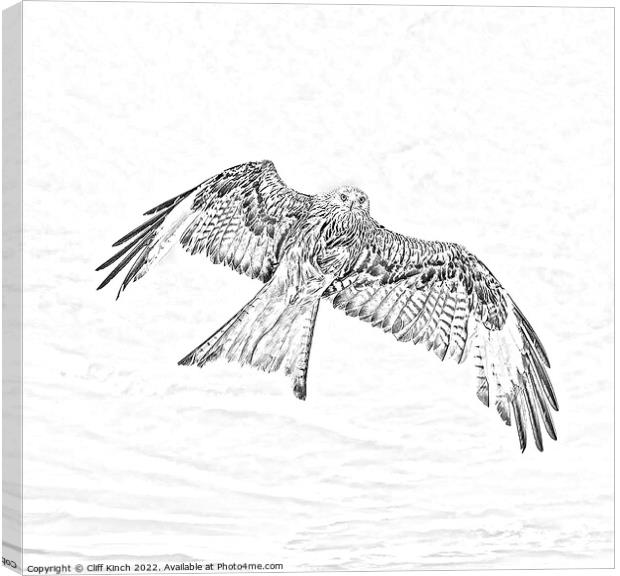 Red Kite in flight pencil effect Canvas Print by Cliff Kinch
