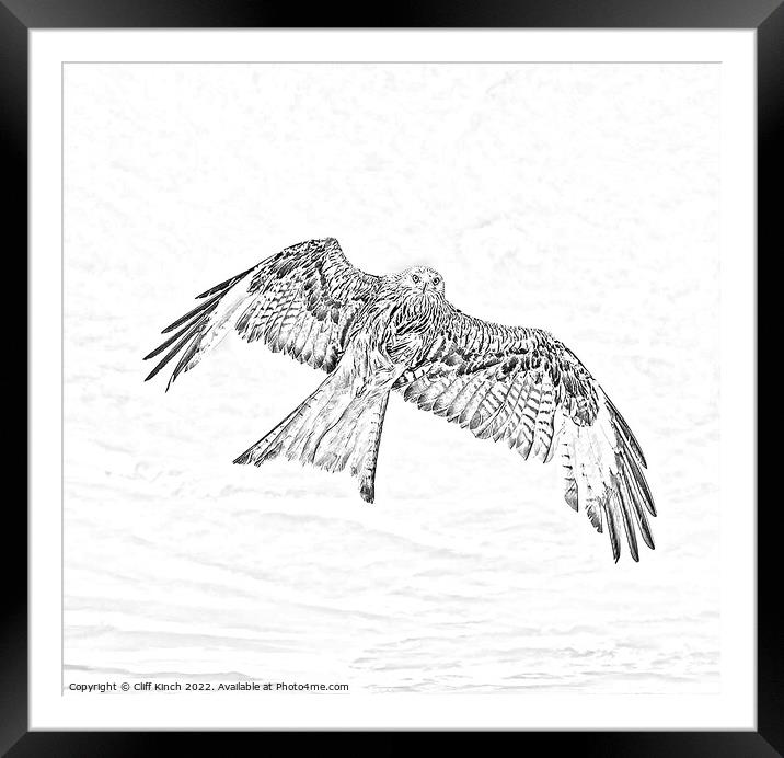 Red Kite in flight pencil effect Framed Mounted Print by Cliff Kinch