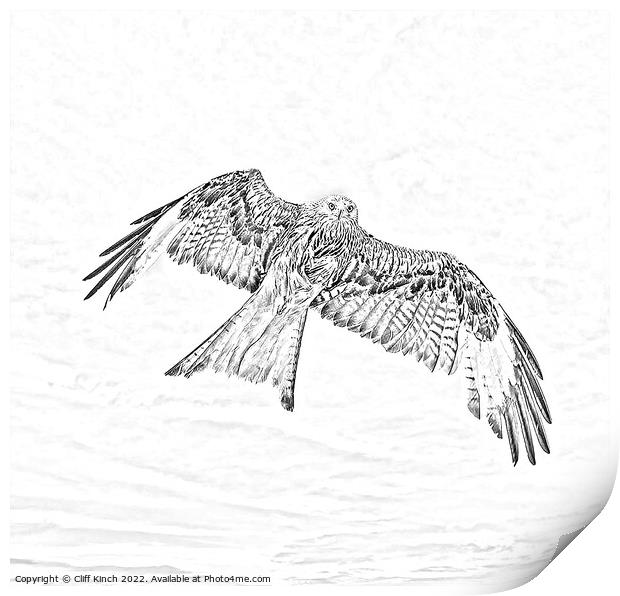 Red Kite in flight pencil effect Print by Cliff Kinch