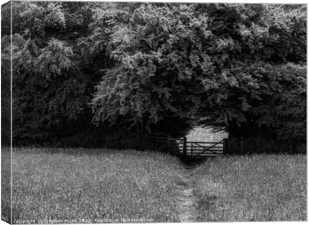 Gateway to the fields Canvas Print by Stephen Munn