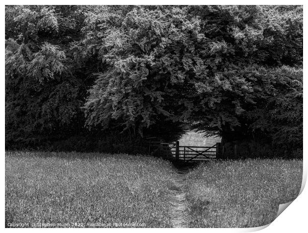 Gateway to the fields Print by Stephen Munn