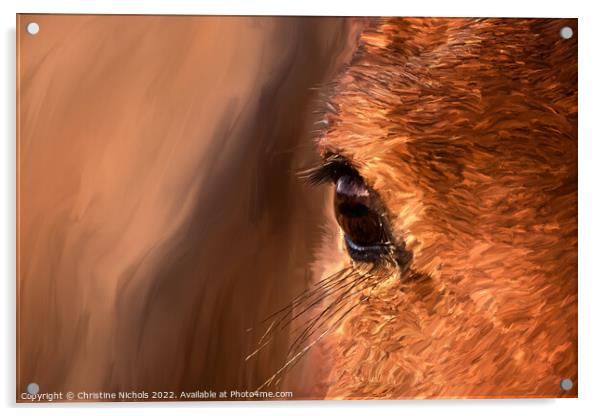 Horse's eye, close up Painting Acrylic by Christine Kerioak