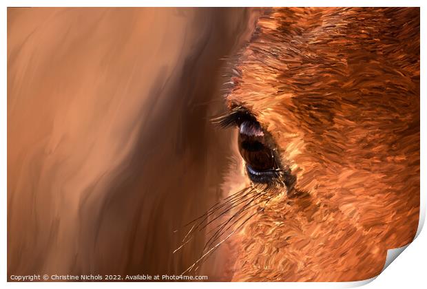 Horse's eye, close up Painting Print by Christine Kerioak