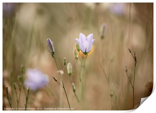 Outdoor field Print by Simon Johnson