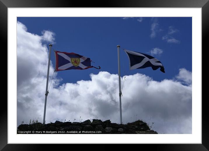 Saltires Flying High Framed Mounted Print by Mary M Rodgers