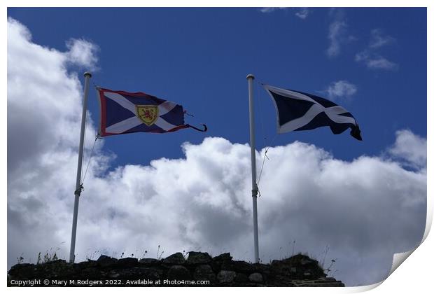 Saltires Flying High Print by Mary M Rodgers