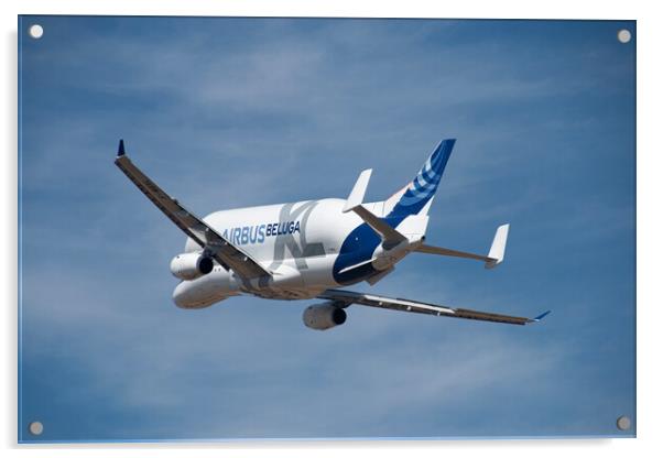 Airbus Beluga Acrylic by J Biggadike