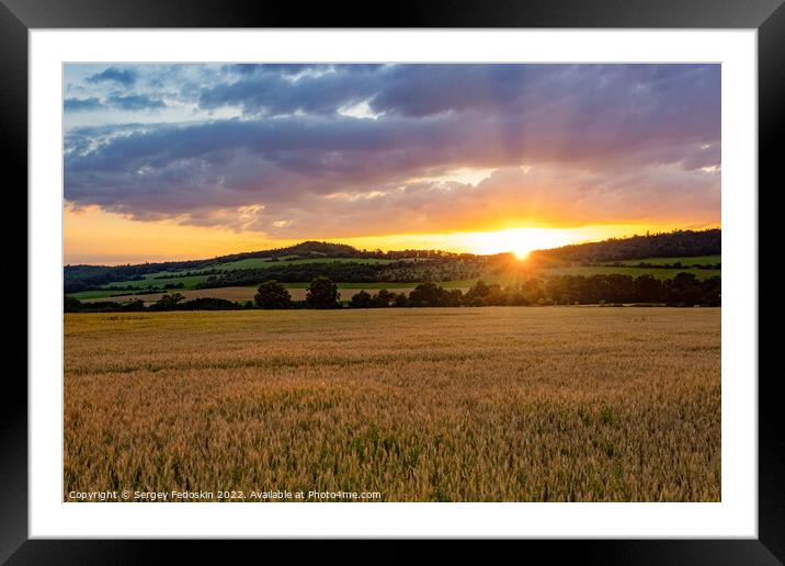 Rye field at sunset. Summer evening. Framed Mounted Print by Sergey Fedoskin