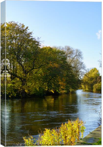 Sunny Autumn Day by a River. Canvas Print by Steve Gill