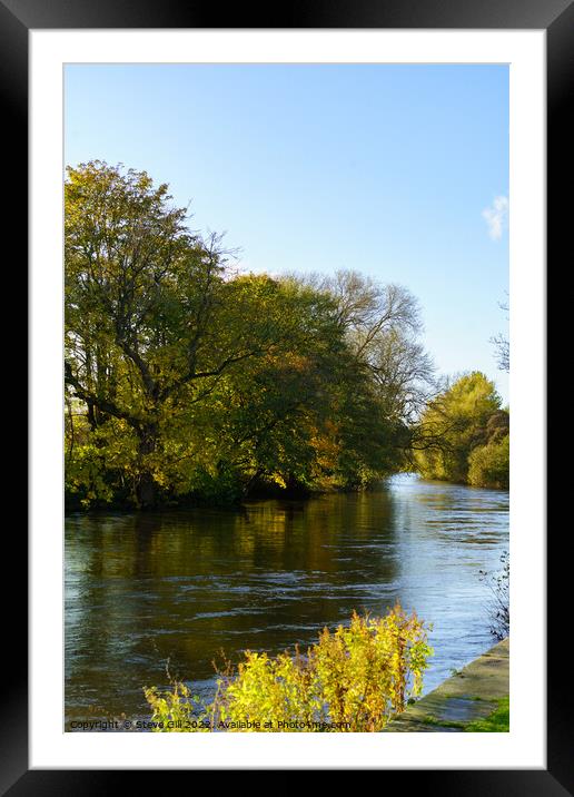 Sunny Autumn Day by a River. Framed Mounted Print by Steve Gill