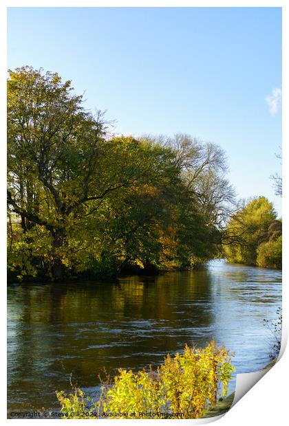 Sunny Autumn Day by a River. Print by Steve Gill