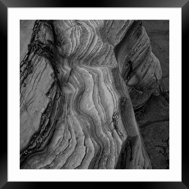 peeling back the layers Framed Print by JC studios LRPS ARPS