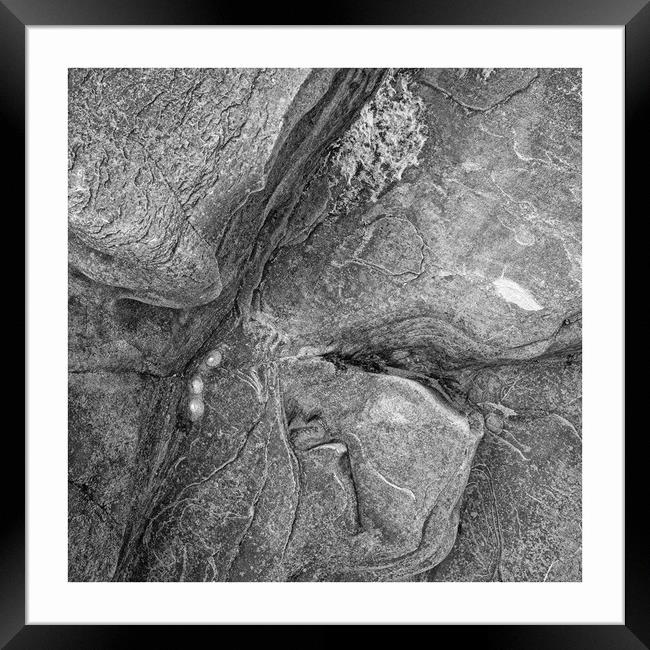 Three shells in situ Framed Print by JC studios LRPS ARPS