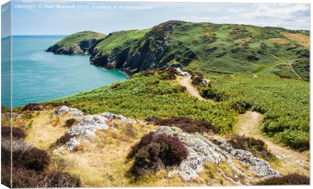 Coast Path Anglesey Wales Canvas Print by Pearl Bucknall