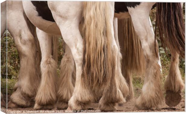 Feathery Horses Canvas Print by Christine Kerioak