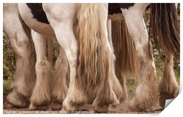 Feathery Horses Print by Christine Kerioak