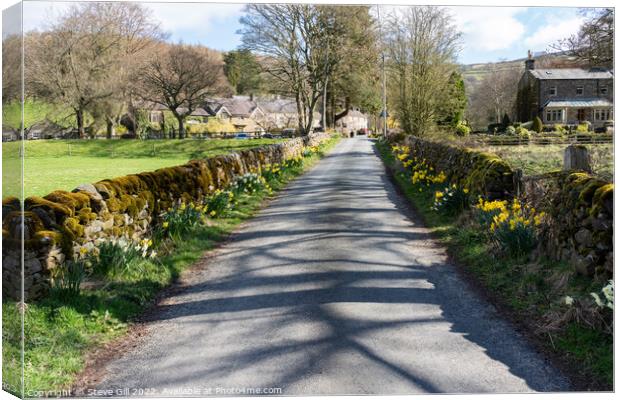 Quiet Countryside Road on a Beautiful Spring Day. Canvas Print by Steve Gill