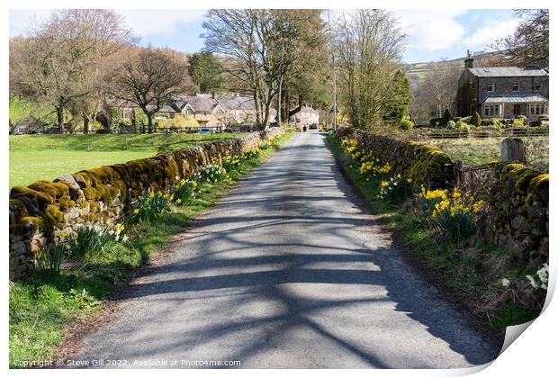 Quiet Countryside Road on a Beautiful Spring Day. Print by Steve Gill