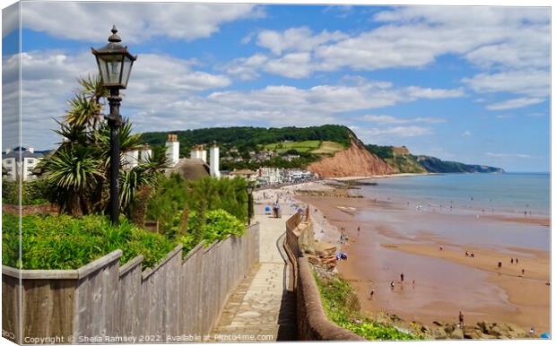 Pathway To Sidmouth Canvas Print by Sheila Ramsey