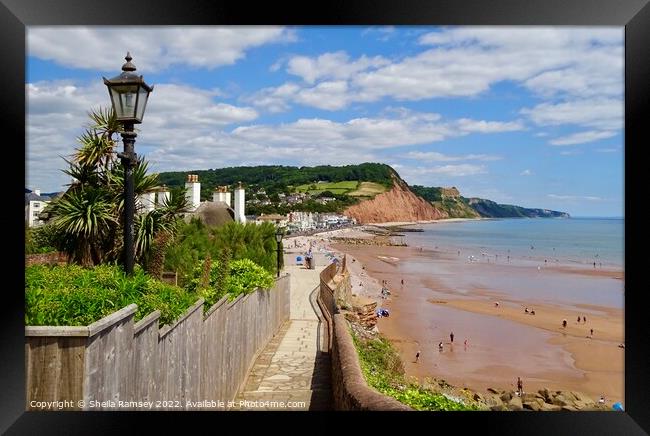 Pathway To Sidmouth Framed Print by Sheila Ramsey