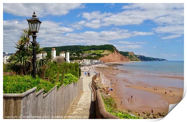 Pathway To Sidmouth Print by Sheila Ramsey