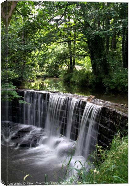 Huddersfield Woodland Waterfall  Canvas Print by Alison Chambers