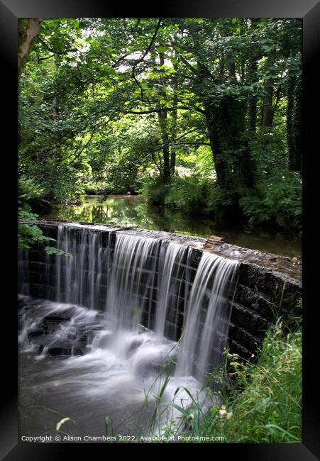 Huddersfield Woodland Waterfall  Framed Print by Alison Chambers
