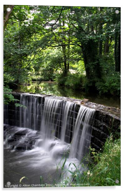 Huddersfield Woodland Waterfall  Acrylic by Alison Chambers