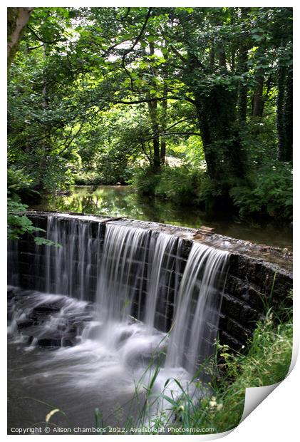 Huddersfield Woodland Waterfall  Print by Alison Chambers