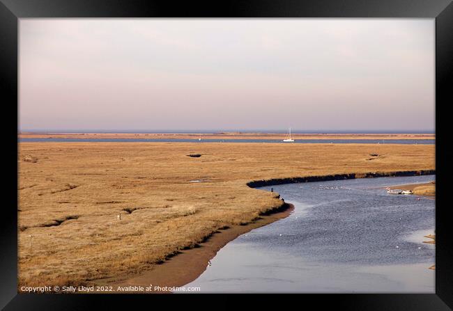Blakeney view across the marshes  Framed Print by Sally Lloyd