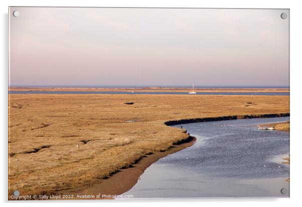 Blakeney view across the marshes  Acrylic by Sally Lloyd