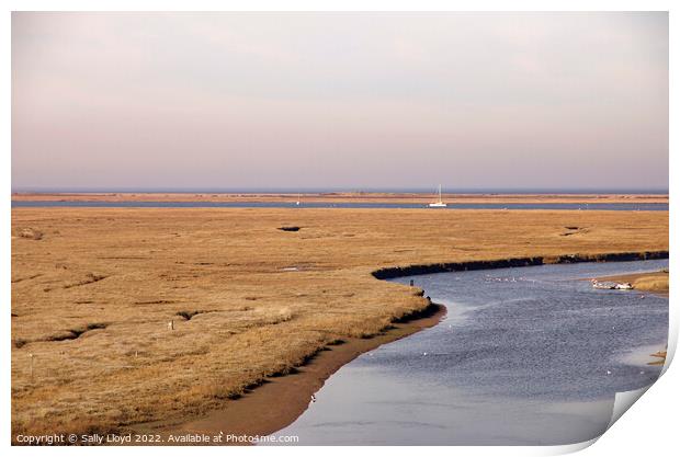 Blakeney view across the marshes  Print by Sally Lloyd