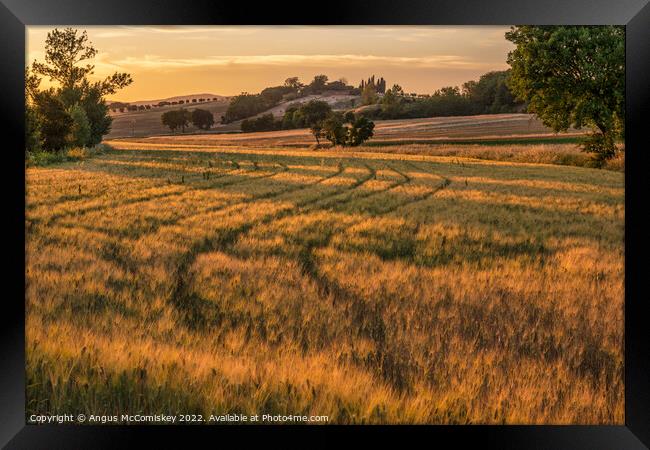 Golden Tuscan landscape at sunset Framed Print by Angus McComiskey