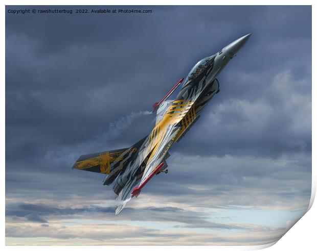 F-16 XTM X-Tiger Print by rawshutterbug 