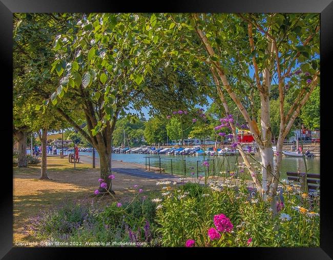 Kingsbridge estuary  Framed Print by Ian Stone